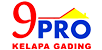 logo9prokelapa